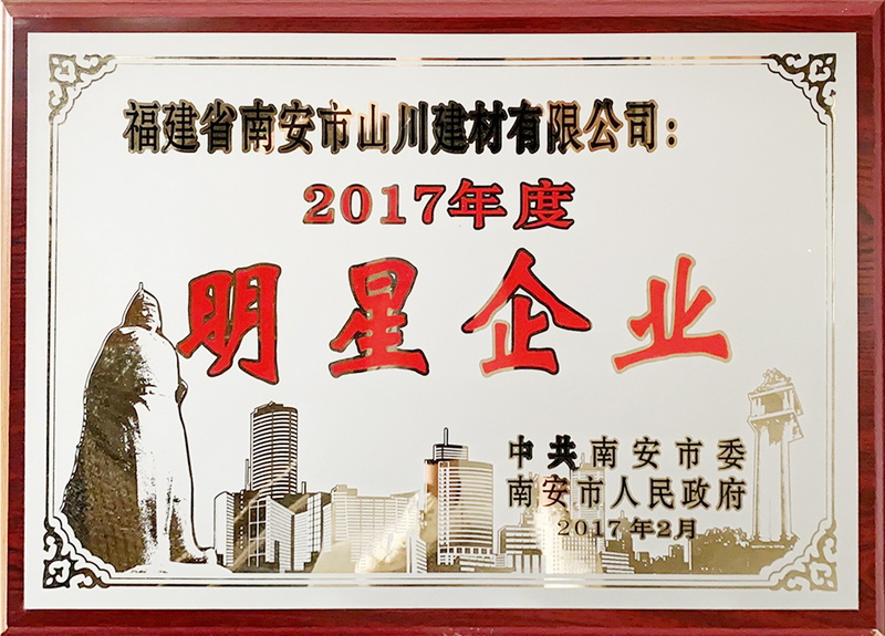 2017明星企業